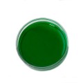 Pistachio Green Powdered Food Colour, 40g