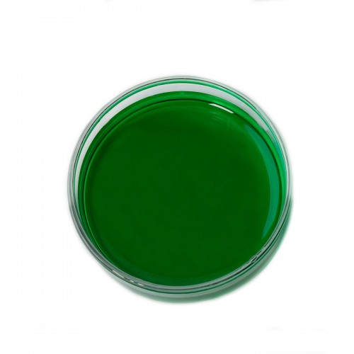 Pistachio Green Powdered Food Colour, 40g