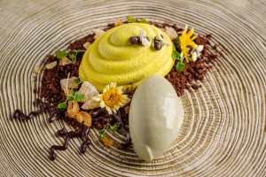 Chocolate Delice with Pistachio Ice Cream Chocolate Delice with Pistachio Ice Cream