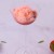 Glazed Strawberries with Lemon Verbena Cream & Champagne Snow