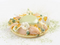 Matcha and Yuzu Mousse using MSK UltraMousse Matcha and Yuzu Mousse using MSK UltraMousse