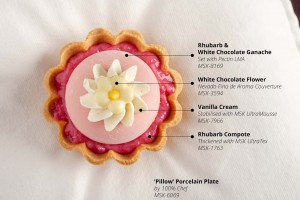 Rhubarb and White Chocolate Dessert using Pectin LMA