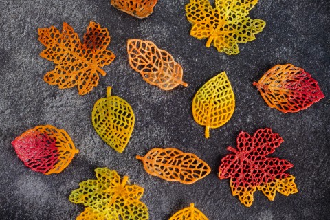 Savoury Leaf Tuiles using Silicone Tuile Moulds Savoury Leaf Tuiles using Silicone Tuile Moulds