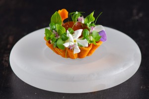 Tomato and Parmesan Tartlet using Spray Dried Tomato Powder Tomato and Parmesan Tartlet using Spray Dried Tomato Powder