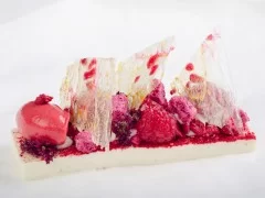 Vanilla Panna Cotta using MSK UltraGel 5