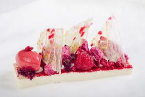 Vanilla Panna Cotta using MSK UltraGel 5 Vanilla Panna Cotta using MSK UltraGel 5