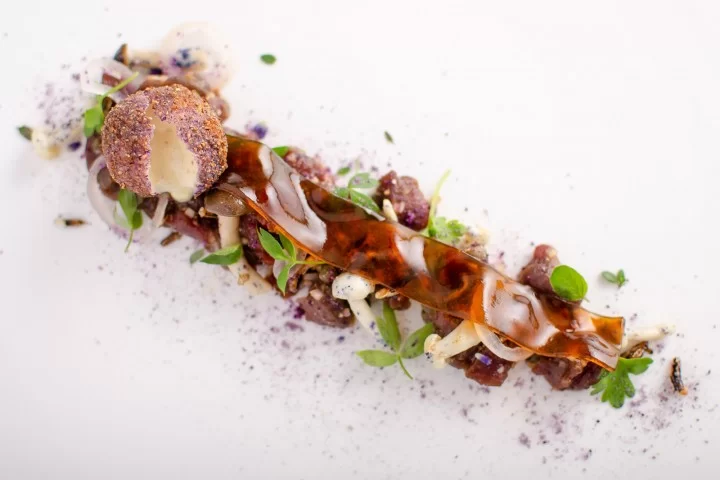 Venison Tartare with Deep Fried Mayonnaise using Gellan Gum Venison Tartare with Deep Fried Mayonnaise using Gellan Gum