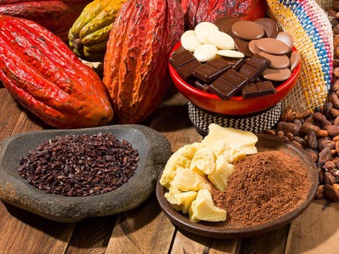 Cacao Derivatives