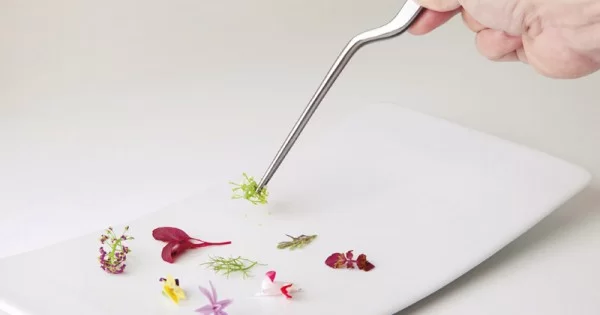 Plating Tools: Plating Spoons, Food Tweezers, Egg Toppers & More