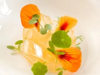 Soft/Elastic Gels