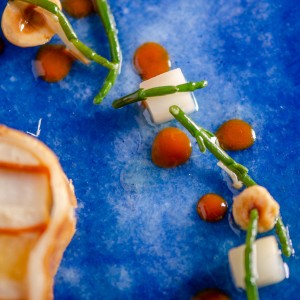 Intense flavour & colour in fluid gels and sauces