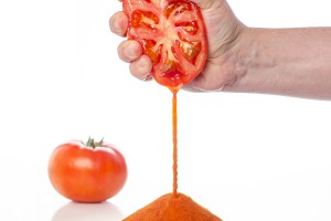 Goat's Cheese mousse coated in tomato jelly made with UltraGel