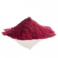 Elderberry Spray Dried Powder, 500g