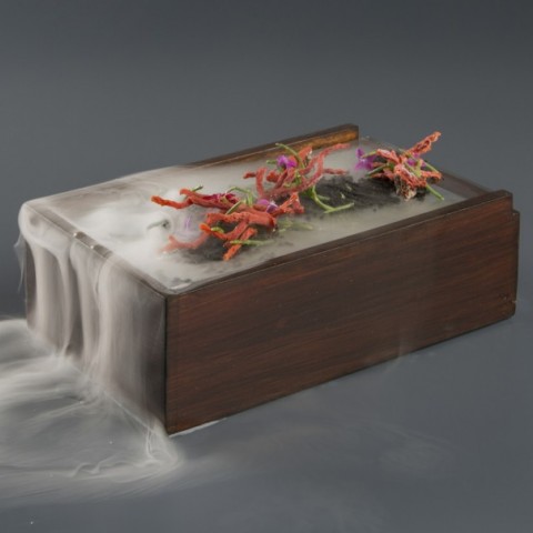 Corfu Forest Mist Box by 100% Chef, 1 unit Corfu Forest Mist Box by 100% Chef, 1 unit