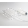 Molecular Gastronomy Starter Kit with Caviar Box and Foam Kit Deluxe, 1 unit Molecular Gastronomy Starter Kit with Caviar Box and Foam Kit Deluxe, 1 unit