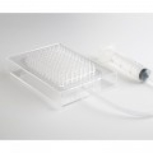 Molecular Gastronomy Starter Kit with Caviar Box and Foam Kit Deluxe, 1 unit Molecular Gastronomy Starter Kit with Caviar Box and Foam Kit Deluxe, 1 unit
