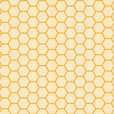 Honeycomb Chocolate Transfer Sheets, 10pk Honeycomb Chocolate Transfer Sheets, 10pk