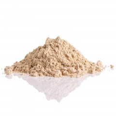 Roast Garlic Intense Flavour Powder, 500g