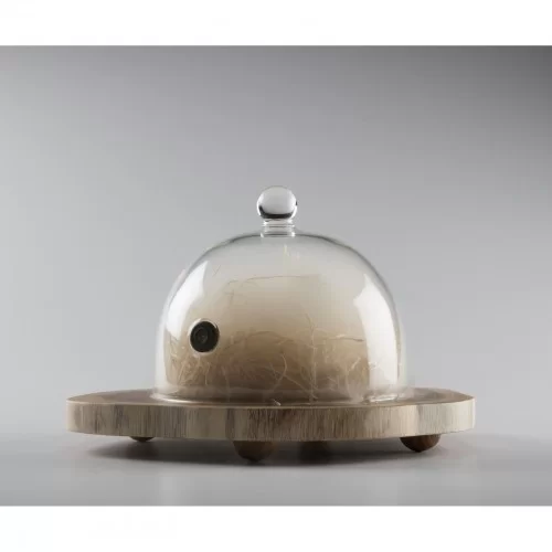 Aladín Cloche with valve Ø 18cm by 100% Chef, 6pk Aladín Cloche with valve Ø 18cm by 100% Chef, 6pk