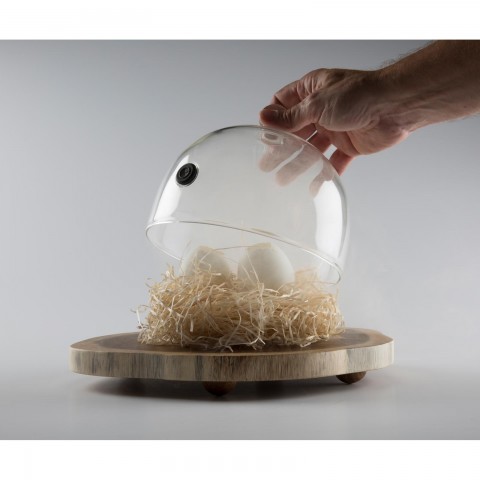 Aladín Cloche with valve Ø 18cm by 100% Chef, 6pk Aladín Cloche with valve Ø 18cm by 100% Chef, 6pk