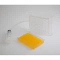Caviar Box by 100% Chef, 1 unit Caviar Box by 100% Chef, 1 unit