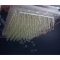 Caviar Box by 100% Chef, 1 unit Caviar Box by 100% Chef, 1 unit
