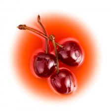 Griottine Décor (with stalks), 1 ltr