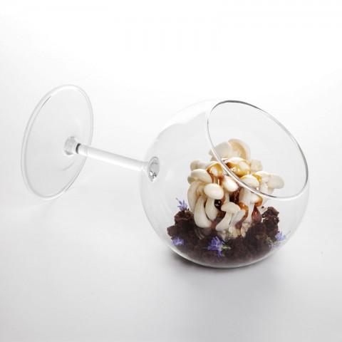 Siesta Glass dia8x22cm (350ml), 1 unit