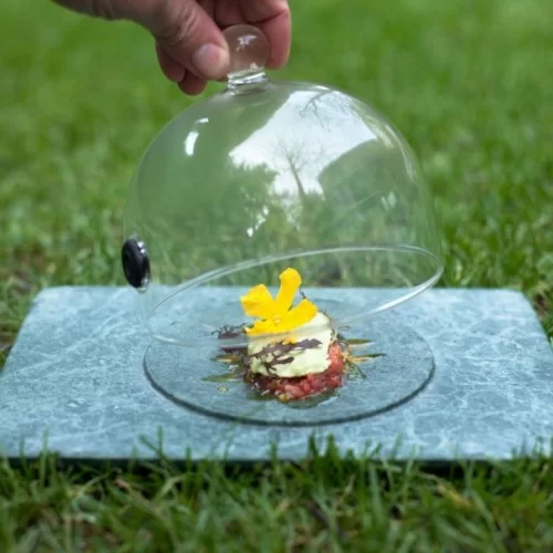 Circus Plate for Ø18cm Cloche by 100% Chef, 1 unit Circus Plate for Ø18cm Cloche by 100% Chef, 1 unit