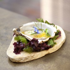 Imperator Plate (yellow) by 100% Chef, 1 unit