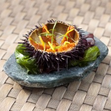 Imperator Plate (green) by 100% Chef, 1 unit