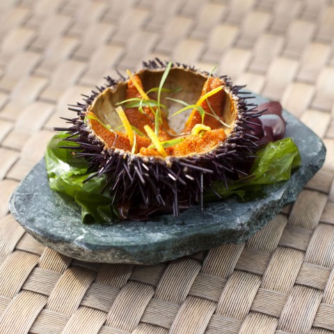 Imperator Plate (green) by 100% Chef, 1 unit Imperator Plate (green) by 100% Chef, 1 unit