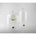 Long Drink Cloche dia12.5 x h 32cm, 2pk