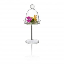 Mini Cloche with Plate and Support, 8x8x17cm, 1 unit
