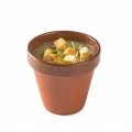 Terra Xtrem Flowerpot, Large 350ml, 12pk Terra Xtrem Flowerpot, Large 350ml, 12pk