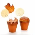 Terra Xtrem Flowerpot, Large 350ml, 12pk Terra Xtrem Flowerpot, Large 350ml, 12pk