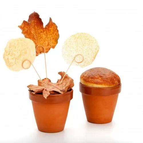 Terra Xtrem Flowerpot, Large 350ml, 12pk Terra Xtrem Flowerpot, Large 350ml, 12pk
