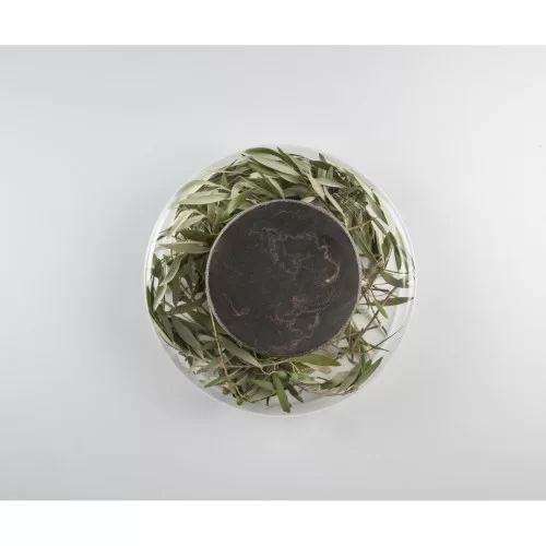Black Moon Advance Plate dia 17cm by 100% Chef, 1 unit Black Moon Advance Plate dia 17cm by 100% Chef, 1 unit
