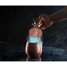 Lithium/Disco LED Lights by 100% Chef, 10pk