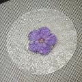 Obulato - Round Ø9.5cm, 100pk