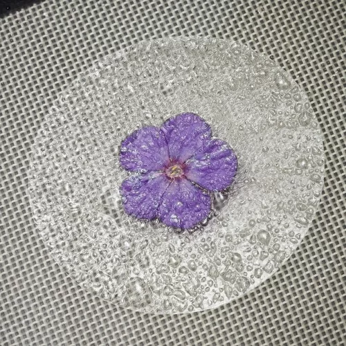 Obulato - Round Ø9.5cm, 100pk
