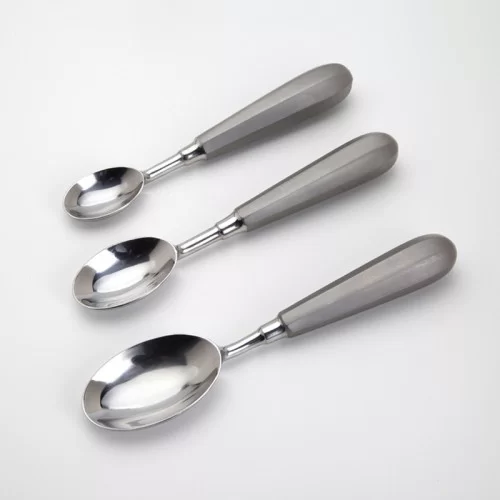 https://msk-ingredients.com/image/cache/catalog/products/msk-5030-perfect-quenelle-spoon-large-1-unit-500x500.jpg.webp