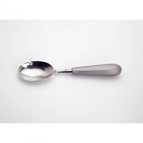 https://msk-ingredients.com/image/cache/catalog/products/msk-5030-perfect-quenelle-spoon-large-1-unit-P-64599-1-500x500.jpg.webp