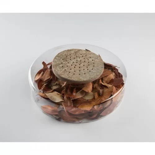 Advance Scene Glass Base dia 28 x 8.5cm by 100% Chef, 1 unit Advance Scene Glass Base dia 28 x 8.5cm by 100% Chef, 1 unit
