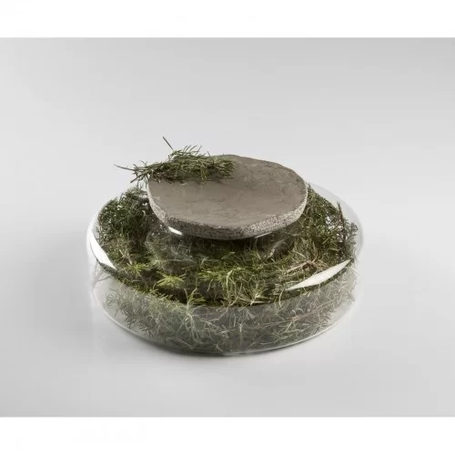 Advance Scene Glass Base dia 28 x 8.5cm by 100% Chef, 1 unit Advance Scene Glass Base dia 28 x 8.5cm by 100% Chef, 1 unit