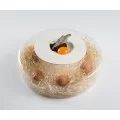 Advance Scene Glass Base dia 28 x 8.5cm by 100% Chef, 1 unit Advance Scene Glass Base dia 28 x 8.5cm by 100% Chef, 1 unit
