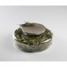 Venus Advance Plate dia 17cm by 100% Chef, 1 unit