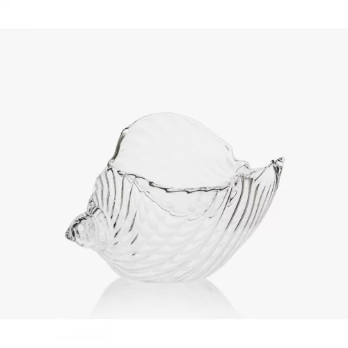 Seashell Glass by 100% Chef, 1 unit Seashell Glass by 100% Chef, 1 unit
