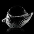 Seashell Glass by 100% Chef, 1 unit Seashell Glass by 100% Chef, 1 unit