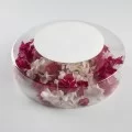 Opal Glass Pearl Plate dia 17cm by 100% Chef, 3pk Opal Glass Pearl Plate dia 17cm by 100% Chef, 3pk